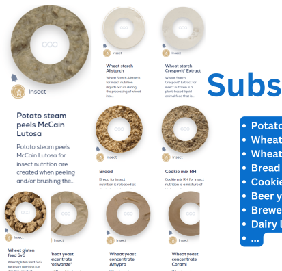 BSF substrates