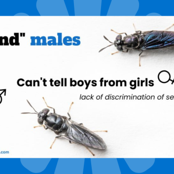 Blind males